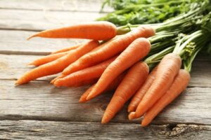 Feeding carrots to bearded dragons