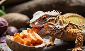 Risks of Feeding Potatoes to Bearded Dragons