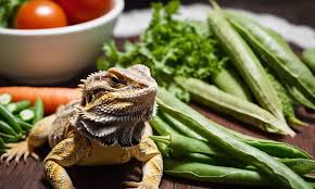 The Bearded Dragon Diet